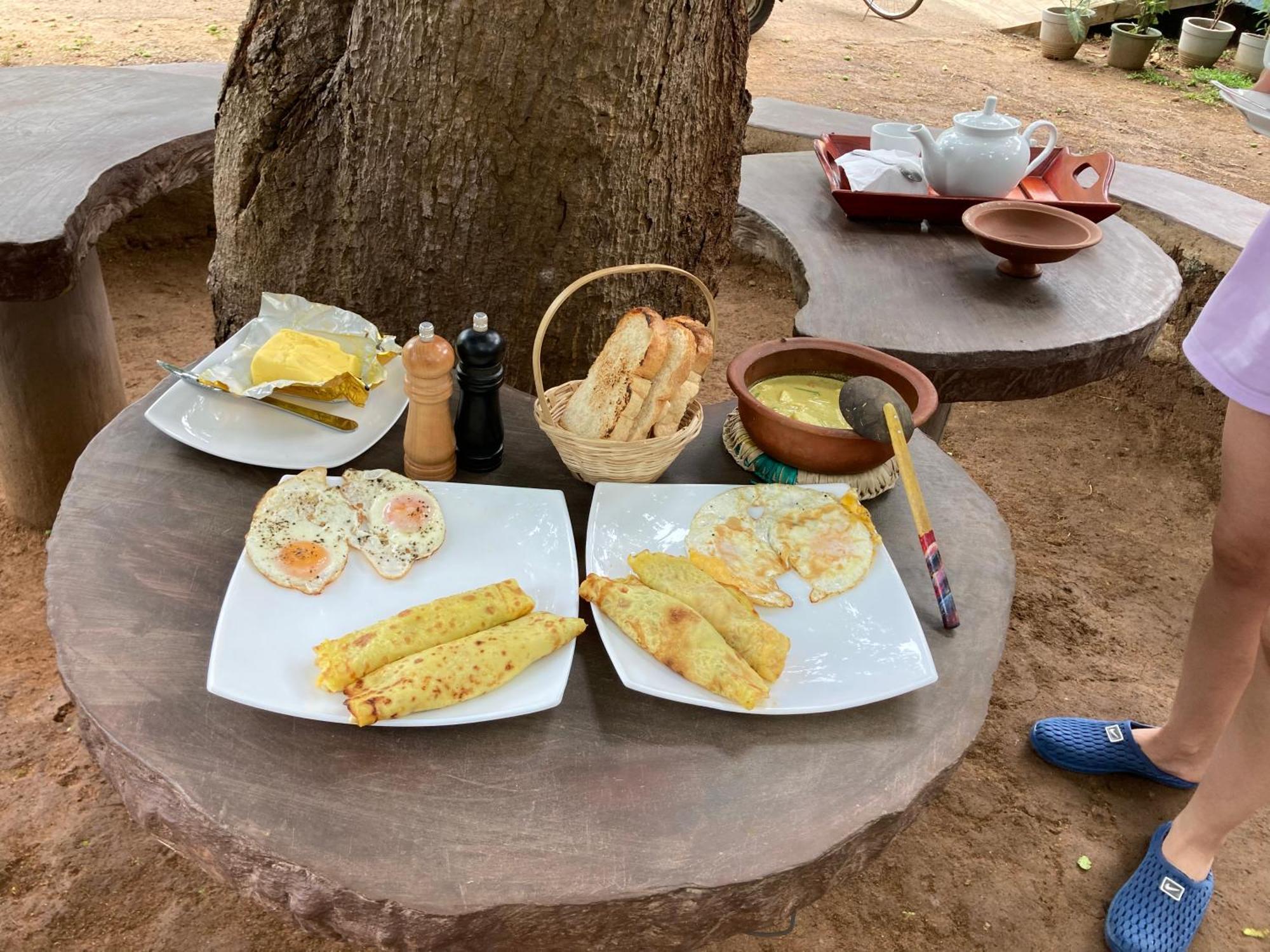 فندق Amba Kola Udawalawa اوداوالاوي المظهر الخارجي الصورة